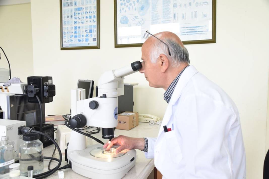 Bu illerde yaşayanlar dikkat: İnsanların gölgesini ve kokusunu algılıyor! Ölümcül olabilir 15